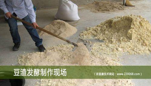 豆渣未发酵时如何用于浇花？