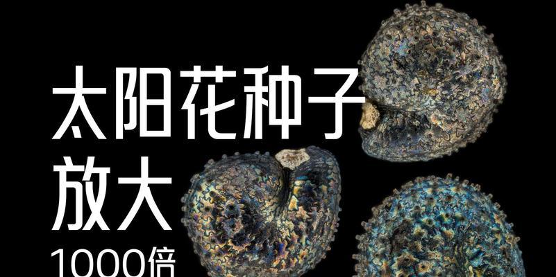 花种子的保存方法是什么？如何延长花种子的发芽率？
