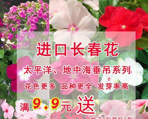 花种子的保存方法是什么？如何延长花种子的发芽率？