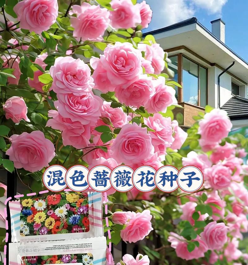 花种子的保存方法是什么？如何延长花种子的发芽率？