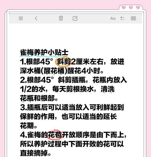 梅花的正确养护方式有哪些？