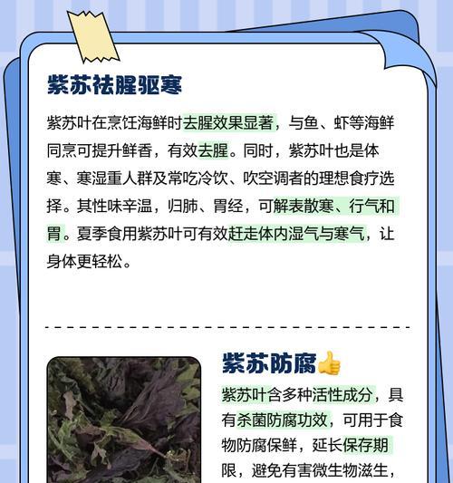 紫苏有哪些好处？它的食用方法是什么？