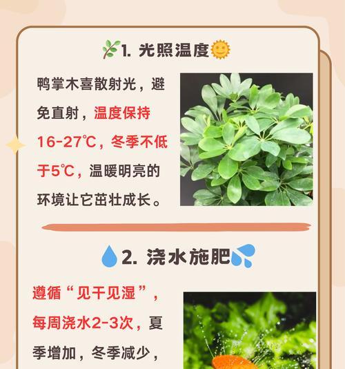 鸭掌木遇到虫害该如何解决？