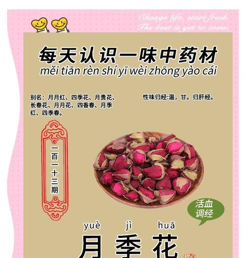 月季花的花语有哪些含义？