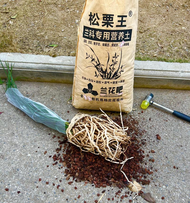 兰草土的配制方法有哪些？