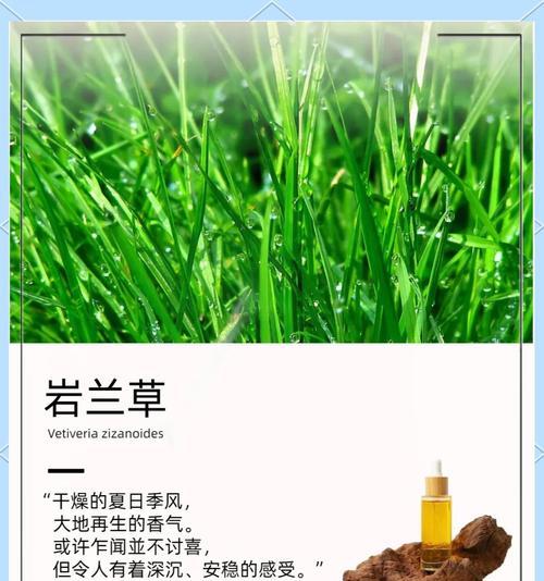 兰草土的配制方法有哪些？