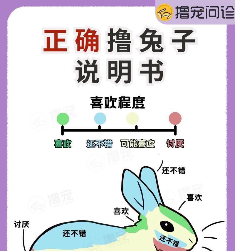 养兔新手指南：兔儿的正确饲养方法是什么？