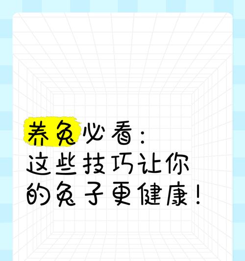 养兔新手指南：兔儿的正确饲养方法是什么？