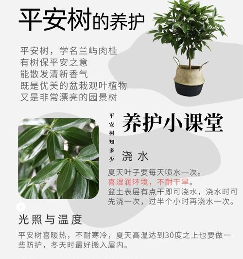 对叶掌的养殖方法和注意事项是什么？