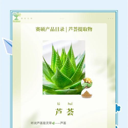芦荟的养殖方法和注意事项是什么？