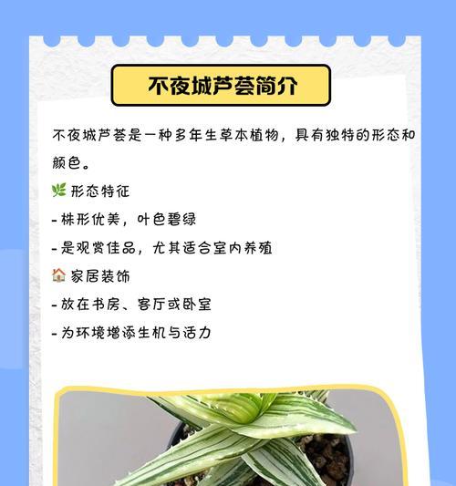 芦荟的养殖方法和注意事项是什么？