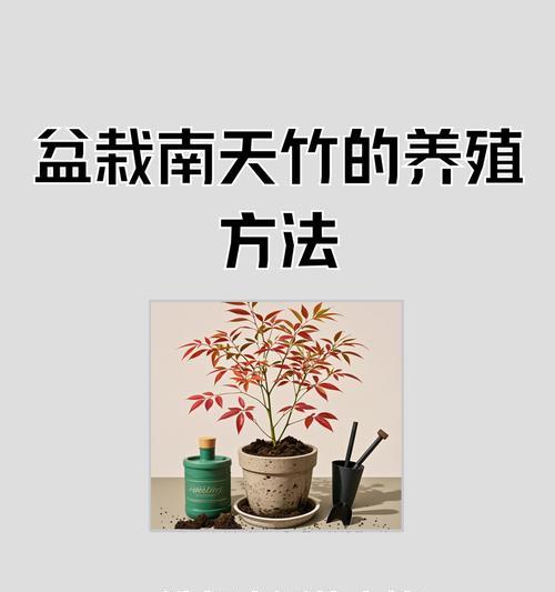 毛竹种植的正确方法和注意事项是什么？