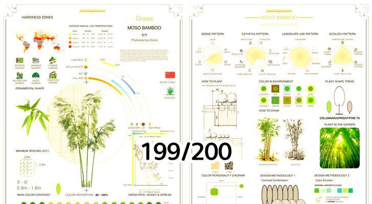 毛竹种植的正确方法和注意事项是什么？