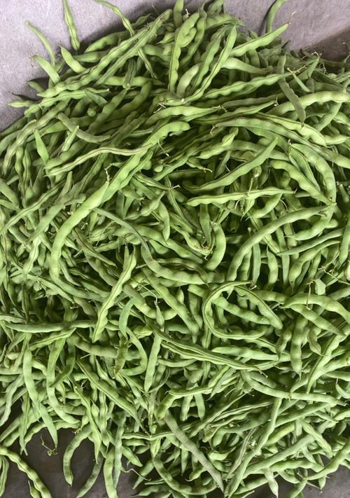 青豆品种有哪些？如何选择最佳青豆品种？