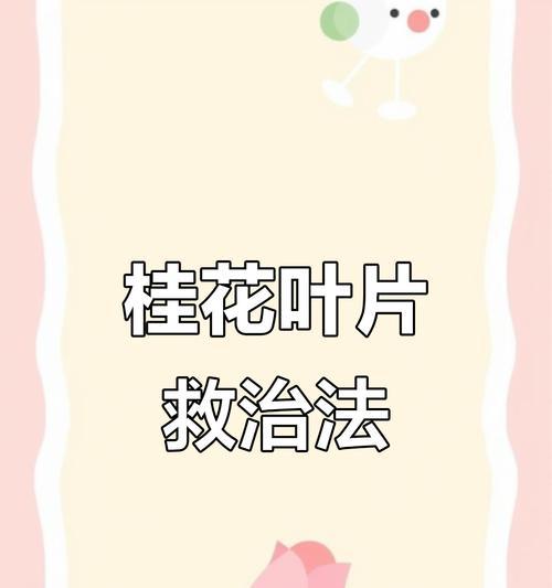 叶尖干枯是什么原因造成的？如何解决？