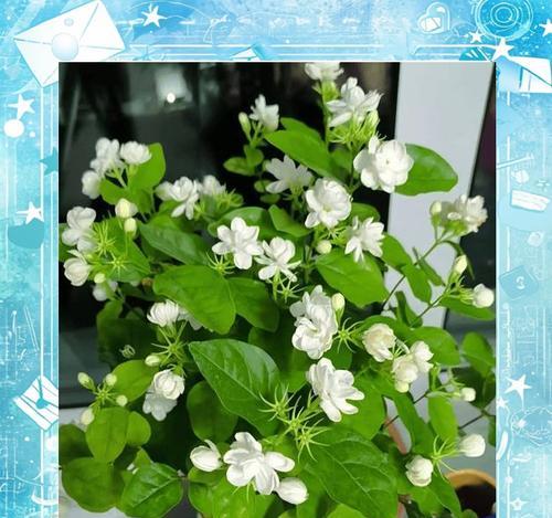 剪花叶子的正确方法是什么？
