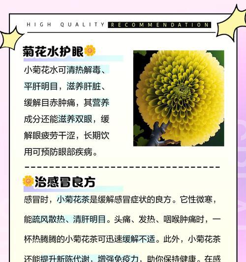 小菊花的养护方法有哪些？