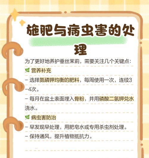 茉莉黄叶的处理方法及预防措施是什么？