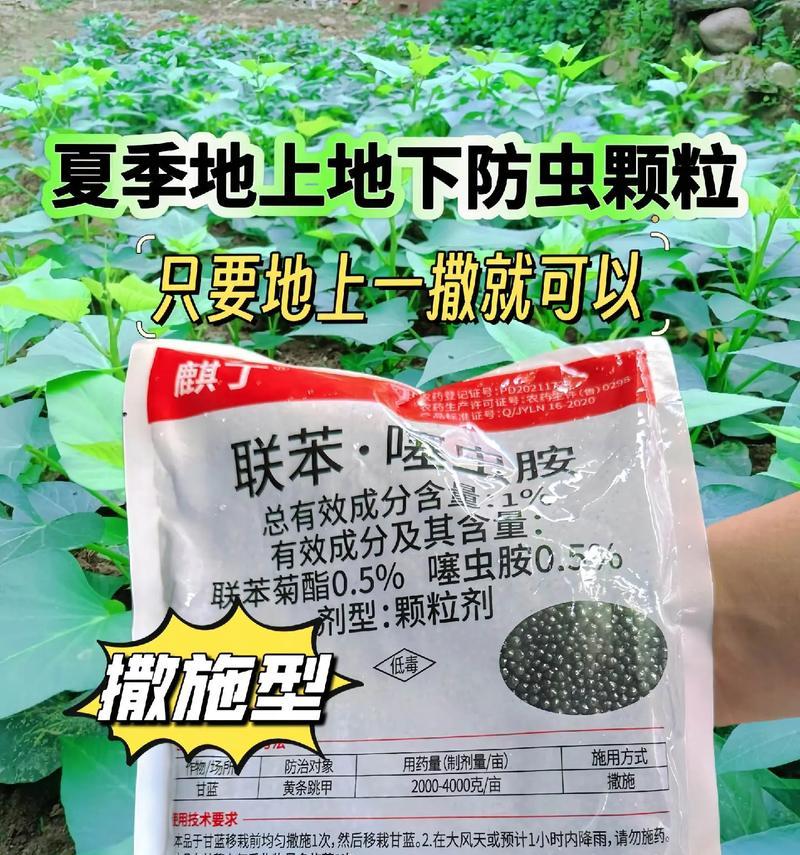常见的花卉害虫有哪些？如何有效防治这些害虫？