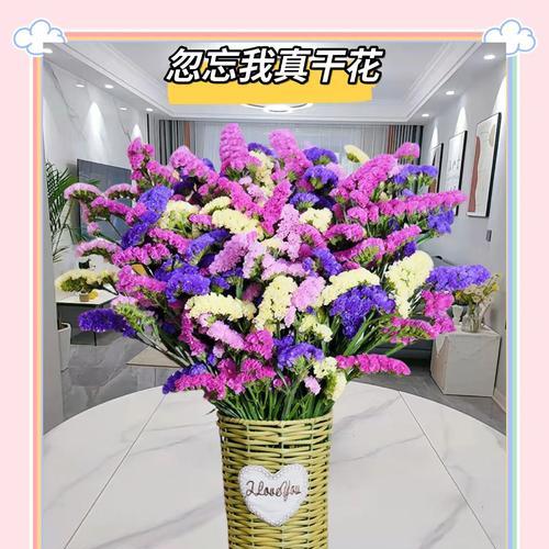 勿忘我花是什么样的？勿忘我的花语和象征意义是什么？