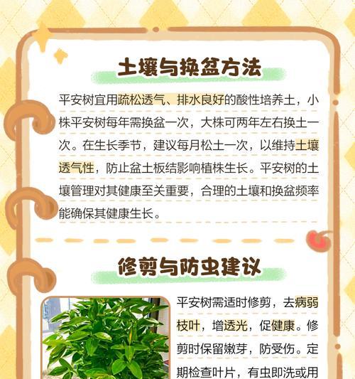 平安树夏季如何正确养护？