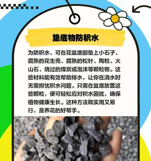 花根腐烂怎么办？如何拯救受损的植物根系？