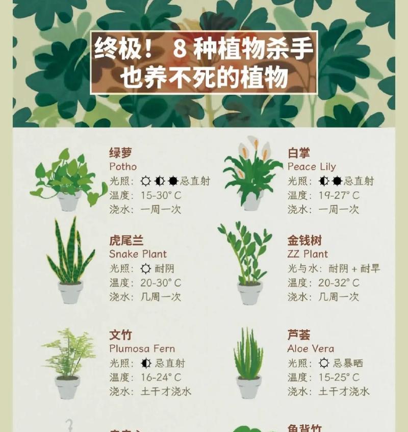 绿萝的养殖和管理方法是什么？