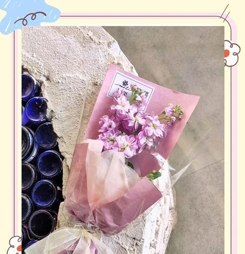 紫罗兰花的花语和象征意义是什么？