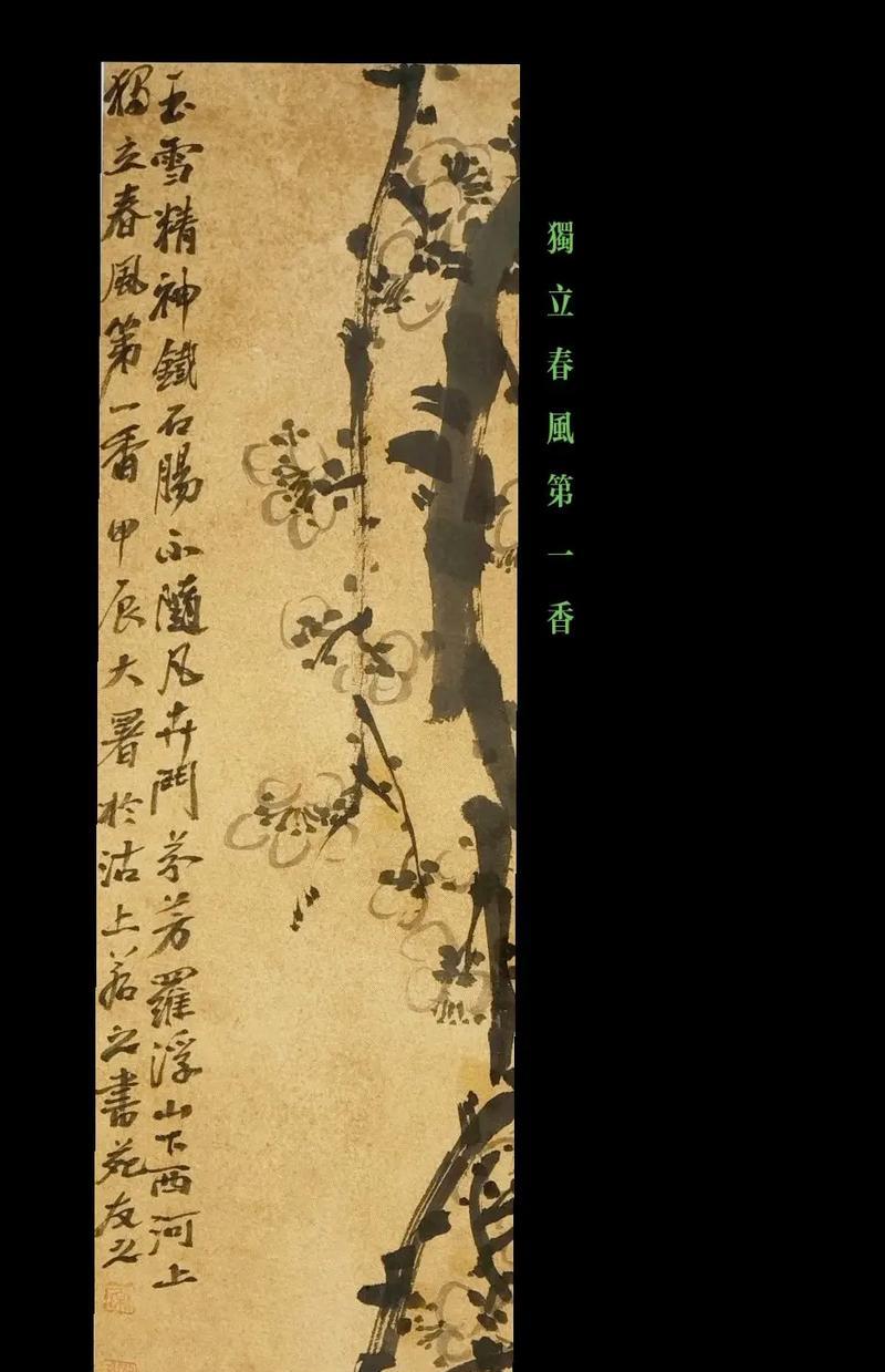 古梅有哪些品种？不同品种的古梅有何特点？