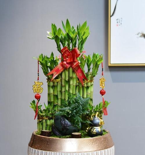 富贵竹搭配哪种花更显富贵？有哪些搭配技巧？