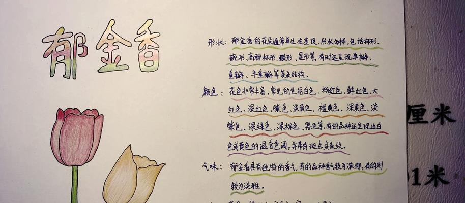 绿萝快速生长的秘诀是什么？