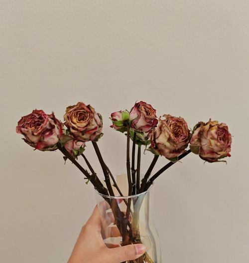 干花花束的制作步骤是什么？