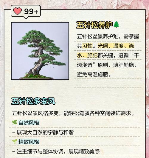 五针松浇水的正确方法？如何避免根部腐烂？