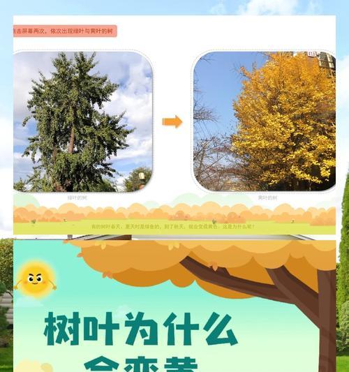 树叶变黄的原因是什么？如何预防和处理？