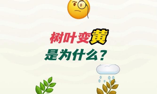 树叶变黄的原因是什么？如何预防和处理？