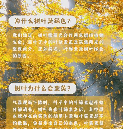 树叶变黄的原因是什么？如何预防和处理？