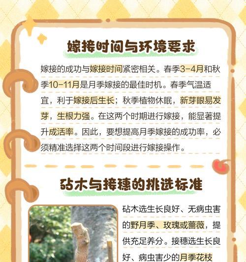 挖树桩的最佳方法是什么？挖树桩时应该注意哪些问题？