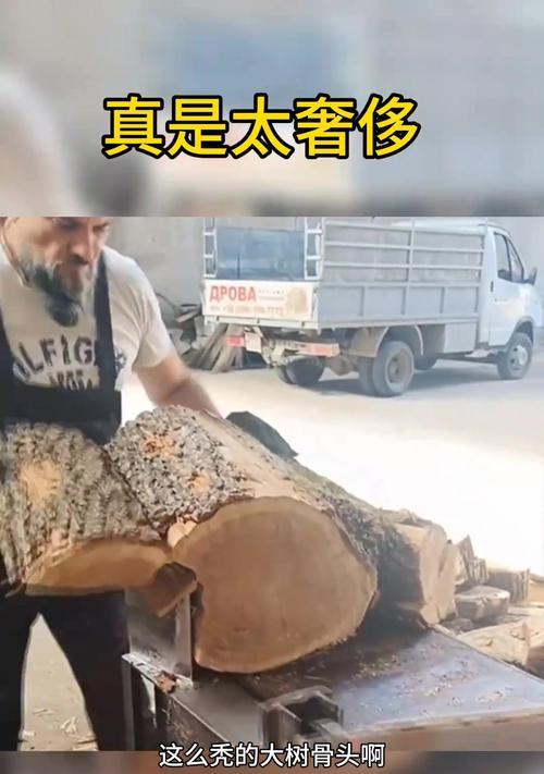 挖树桩的最佳方法是什么？挖树桩时应该注意哪些问题？