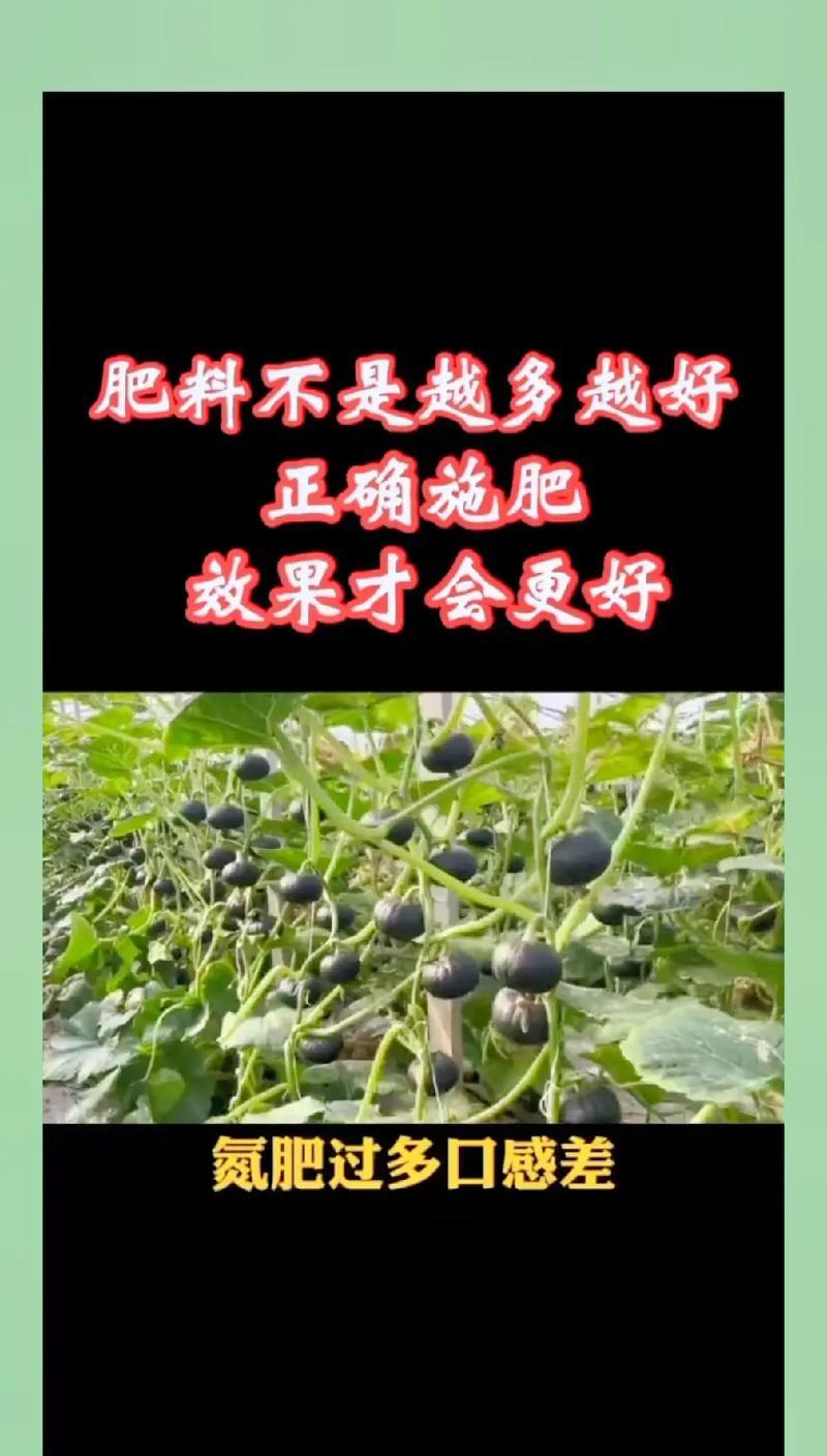 夏天佛珠植物施肥的正确方法是什么？