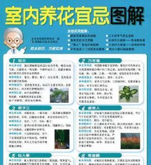 室内养花品种有哪些？如何选择适合的室内养花品种？