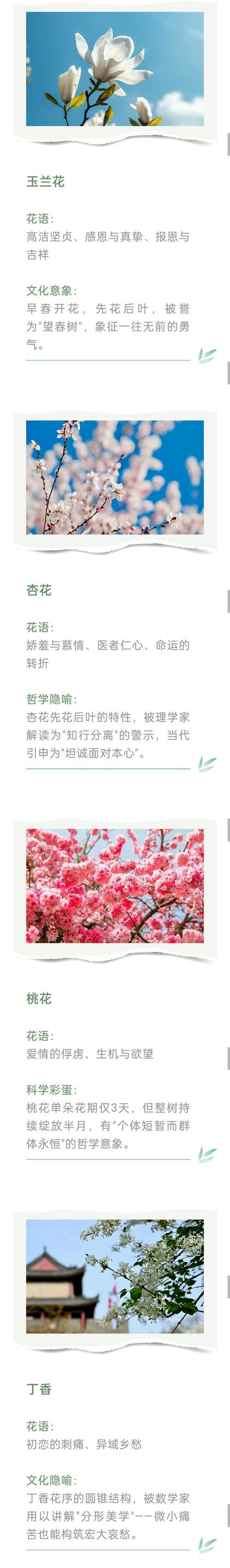 将军柱繁殖方法是什么？步骤详解？