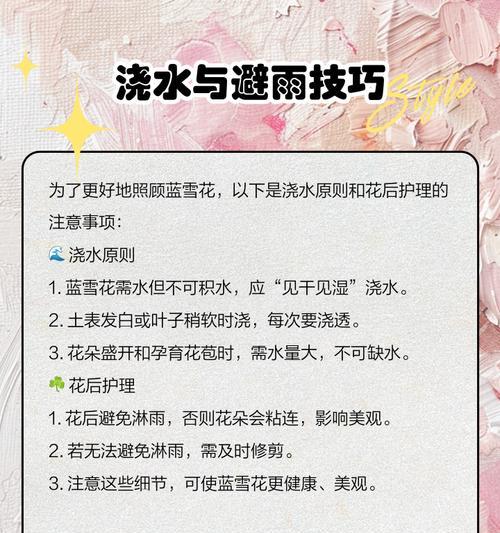 雪蓝花的养殖方法是什么？
