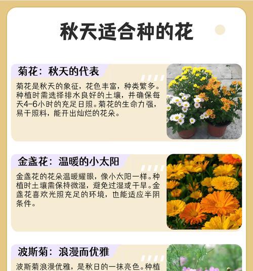 花朵大的花有哪些？它们的养护技巧是什么？