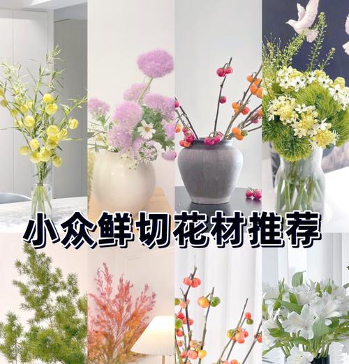 切花新品种有哪些？如何选择切花新品种？