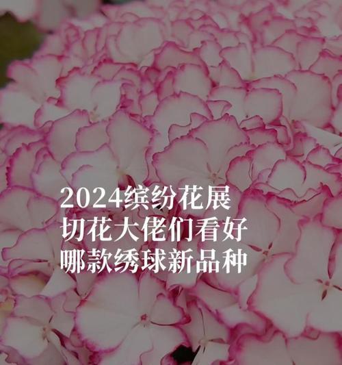切花新品种有哪些？如何选择切花新品种？