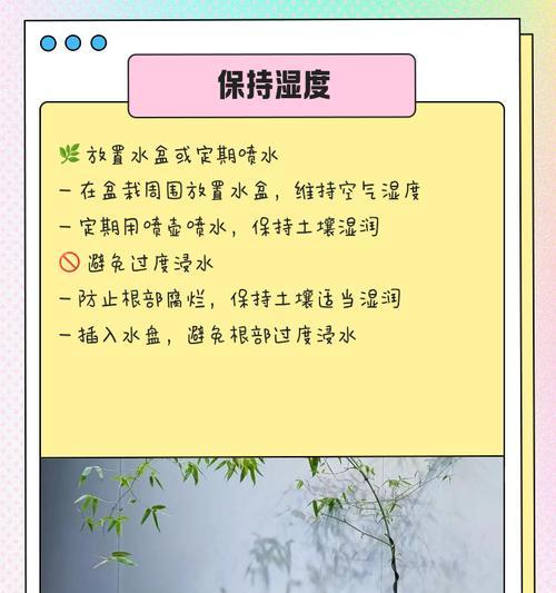 竹子养殖的环境和管理要点有哪些？