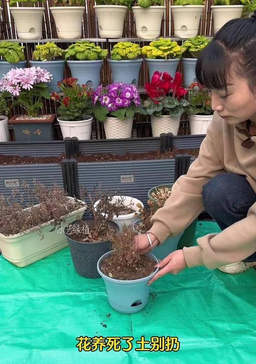 如何正确配制花土营养土？