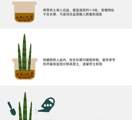 如何正确配制花土营养土？