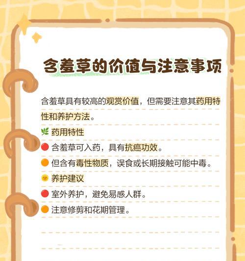 含羞草夏季养护的注意事项是什么？