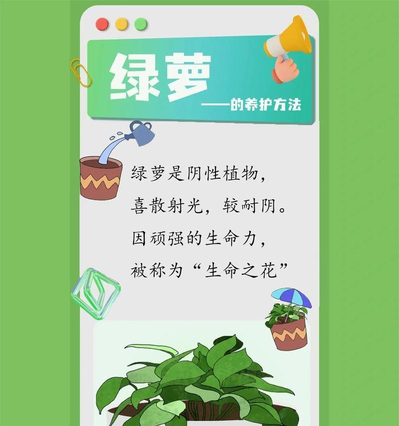 绿罗有哪些品种？如何挑选和养护绿罗品种？